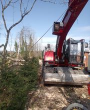 Scheidegger Forstunternehmung GmbH Bild 6