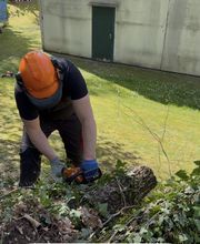 Haus-Garten-Service Bild 18