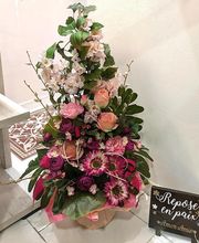 Balaruc Funéraire image 7