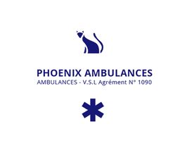 Phoenix Ambulance image 1