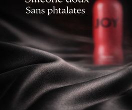 Mijessant.com image 11