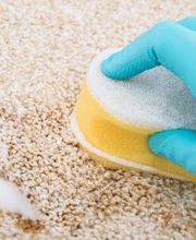 IGN Propreté FEDER image 1