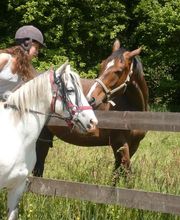 Les Sabots de Villecartier image 8