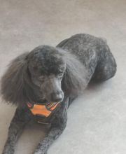 Tootsie image 15