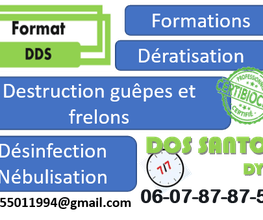 Format DDS image 5