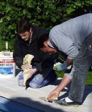 Brosseau Bernard image 10