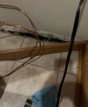 The Mold Pros of Oregon image 3