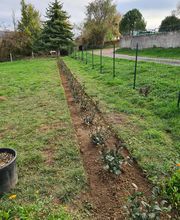 JULIEN LOTTE ESPACES VERTS image 14