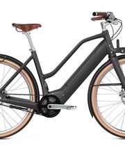 E-Bike-Leasing.eu | Wismar Bild 7