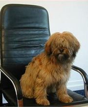 Rechtsanwalt Frank Rilling Bild 5