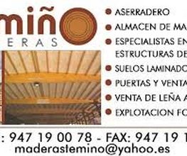 logotemino.jpg