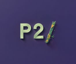 P2 Kommunikation AG Bild 4