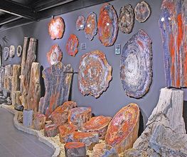 Welt der Kristalle Museum & Shop Bild 10