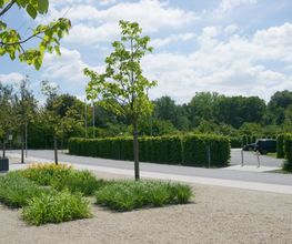 Parkflächen zum Schloss Pillnitz in Dresden