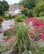 Fellmann Gartenbau AG Bild 7