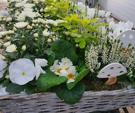 Rambert Fleurs image 14