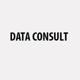 Data Consult logo