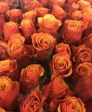 Decoflora GmbH gehört zu einem der führenden Blumen- und Dekogrosshandels - Märkten in der Region Basel.
Mit kompetenter Beratung, hohen Qualitätsansprüchen und engagierter Arbeitsweise möchten wir dafür sorgen, dass unsere Kunden rundum zufrieden gestellt werden.