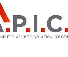 A.P.I.C image 1
