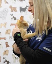 Aspen Creek Veterinary Clinic image 8