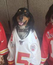 Independence Animal Hospital image 10