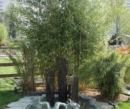 Bauert AG Parkpflege Gartenbau Bild 9