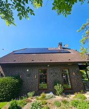 Yellowflowtaik Bild 3