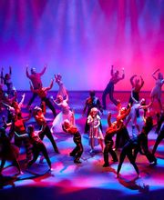 Verein TDC dance company & school Bild 7