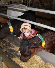 Ferme des Trontières Randogne Bild 13