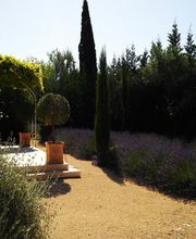 Le Paradou Vert image 4