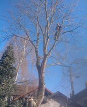 Vagne Service Verts image 10