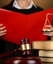 Faure Bertrand image 1