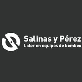 logo_salinas.jpg