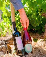 ALBERT GIRÓ imagen 20