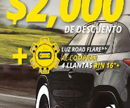 Michelin Car Service-Tecnicentro Garay 24 sur imagen 15