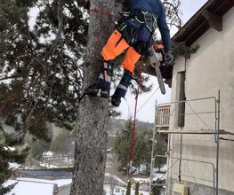 Evd Cerdagne image 8