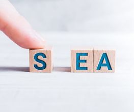 Mehr Umsatz und bessere Kunden durch Suchanzeigen-Kampagne (SEA)