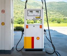 Shell Bild 3