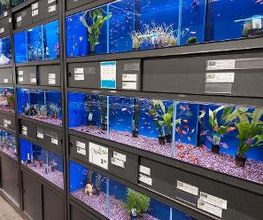 Intratuin Nijkerk afbeelding 3