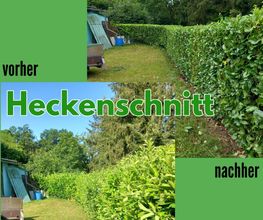 Heckenschnitt