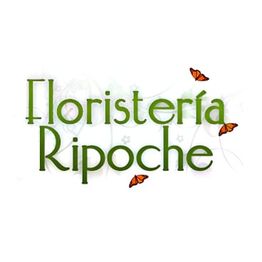 ripoche.jpg