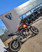 Triumph image 1