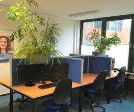 Mehrere Arbeitsplätze neben einem Fenster. Auf dem Tisch sind zwei Monitore und eine Tastatur zu sehen.