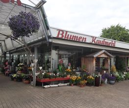 Manfred Kaufmehl Blumen Bild 2