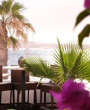 Andreas König Bild 12