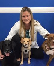 Caring Hands Animal Hospital - Suffolk image 10