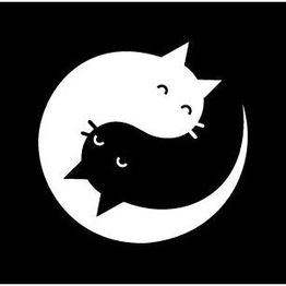 Purrfect Cat Hotel Hamburg