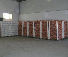 CEBESTUR,S.L. imagen 8