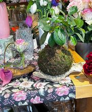 Le Murmure des Fleurs image 7