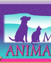 Monroe County Animal Hospital image 10